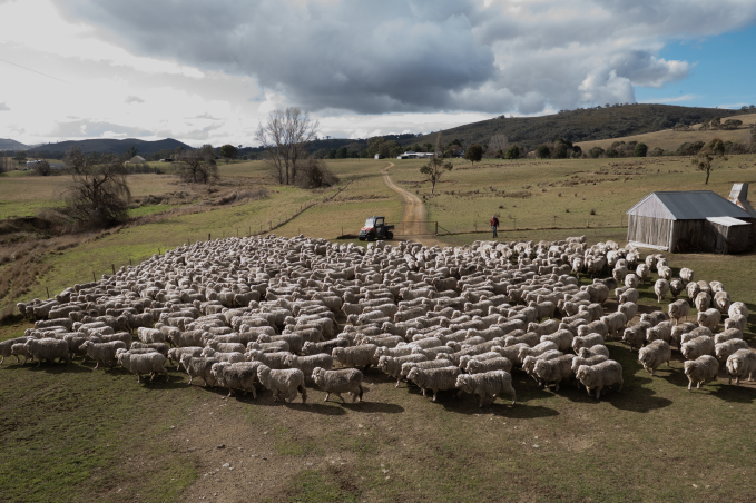 AWEX_NWD_IntegrityProgram