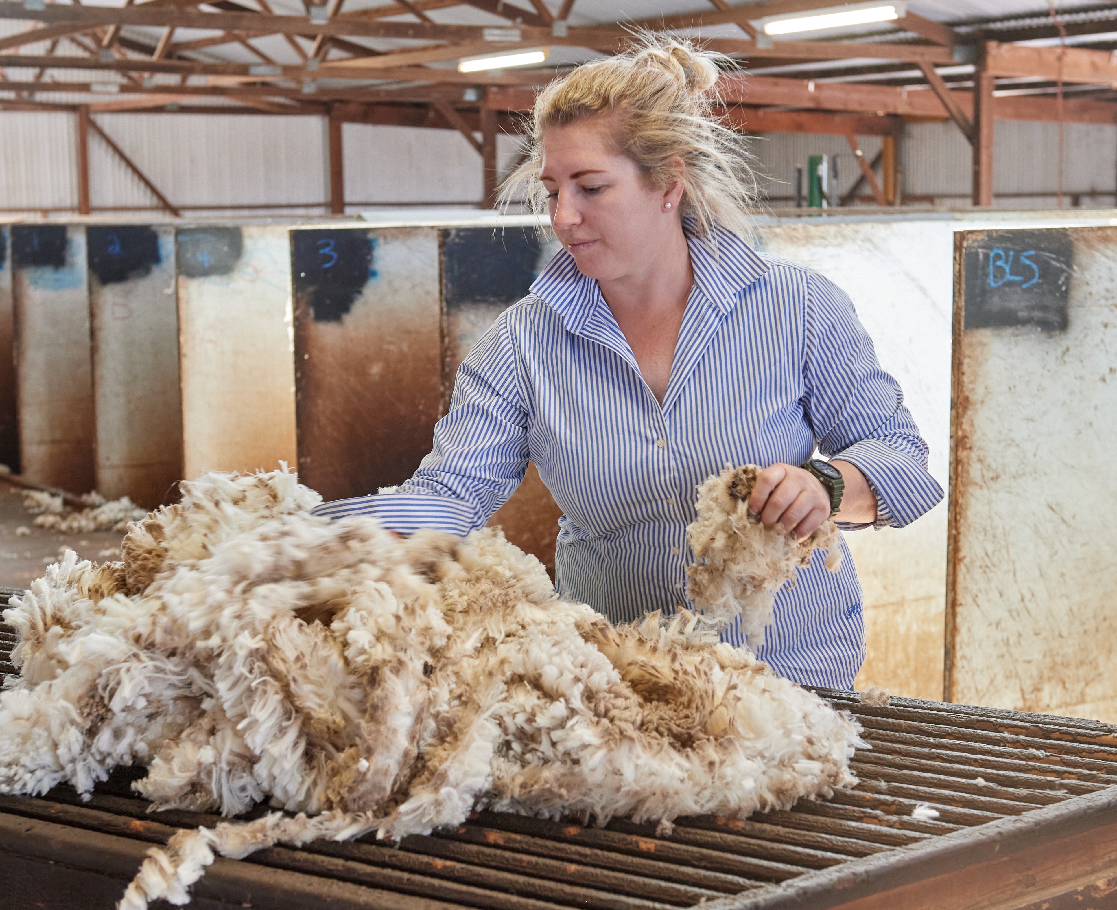 AWEX_WoolClassing_PageImage2