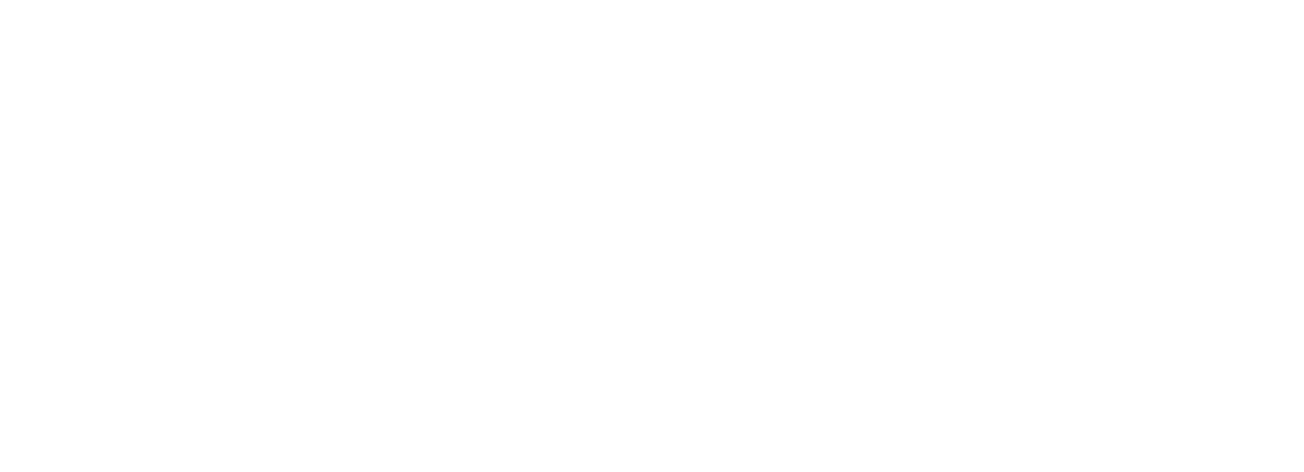 AuctionInformationandIntegrityServicesLogoRGB